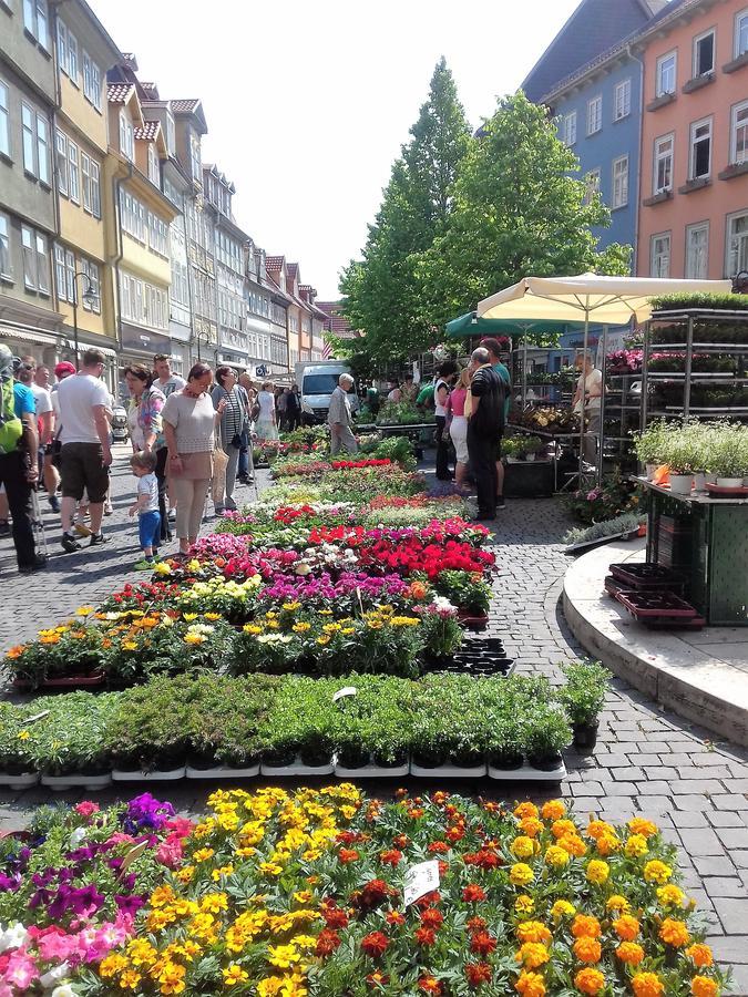 Hotel Bad Langensalza Eichenhof Екстер'єр фото